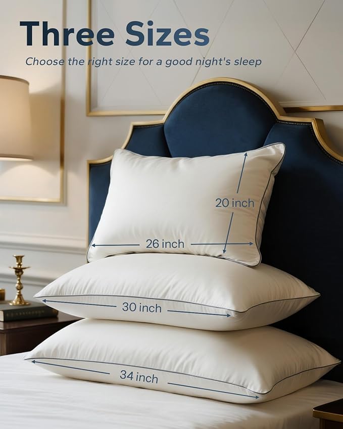 Goose Down Pillow for Sleeping, Hotel Quality 750 Fill Power Queen Size Pillow with Pillowcase - Bed Pillow for Master Bedroom, Support for Back, Side, Stomach Sleepers, 1 Pack, 20x30 Inch