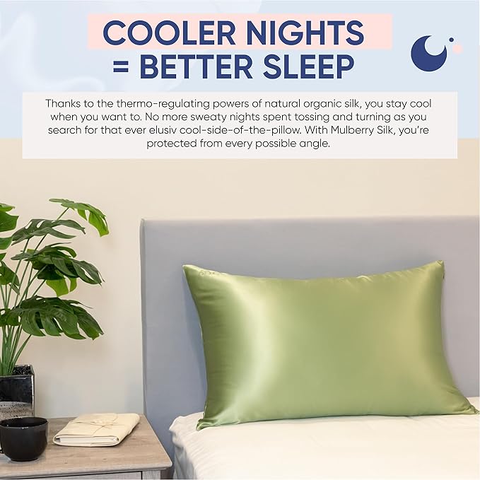 Blissy Silk Pillowcase - 100% Pure Mulberry Silk - 22 Momme 6A High-Grade Fibers - Silk Pillow Cover for Hair & Skin - Regular, Queen & King (Olive, Standard)