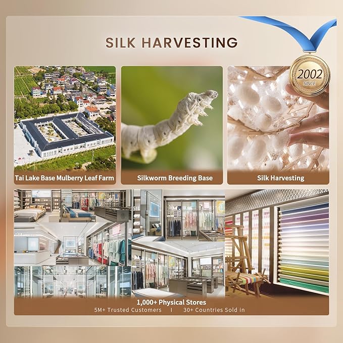 THXSILK 22 Momme 1 Pcs Silk Flat Sheet, 100% Top Grade Pure Mulberry Silk Bed Sheet Breathable Cooling Comfortable Safe Material Ultra Soft Bedding Durable (Twin, Metallic Gold)