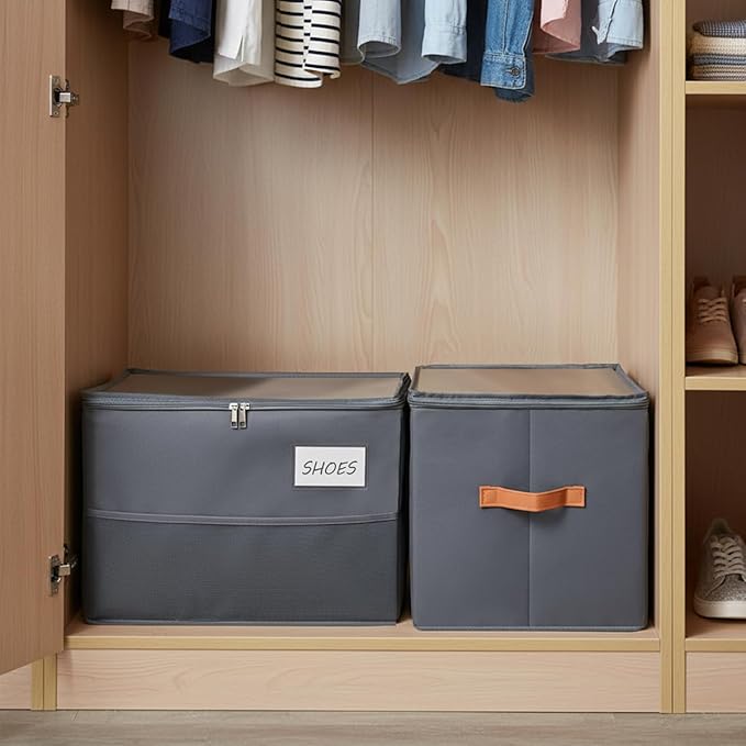 Chewlish Shoe Organizer for Closet, Foldable Shoe Storage Organizer Containers with Clear Cover, Space Saving Shoes Holder with Handles, Gray (2, Large)