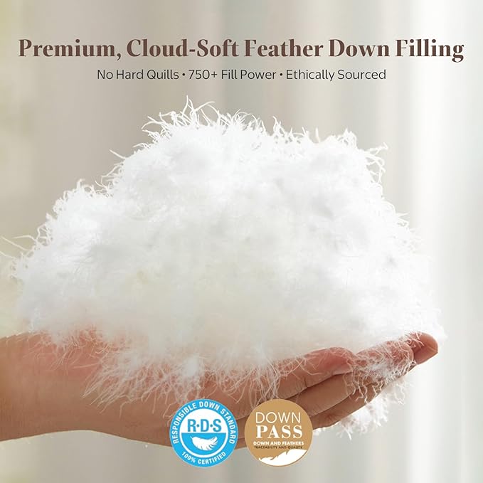 Goose Feather Down Fiber Comforter Queen Size - Egyptian Cotton Blend Cover, All Season Fluffy Hotel Luxury Duvet Insert(90x90 inch, White)