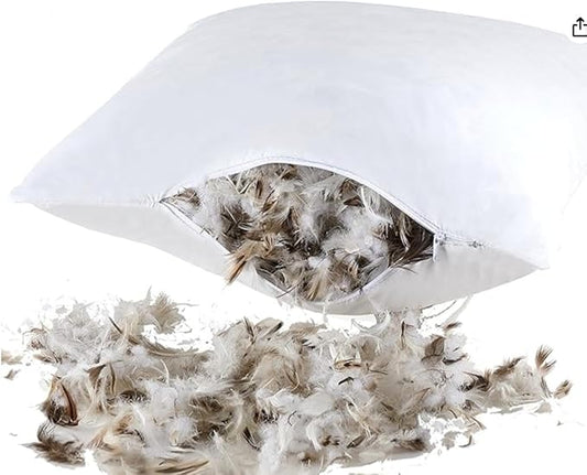 BlvdEi8ht Decorative Pillow for Living Room, Sofa, Bed, Home Decoration, Commerical Enviroment - CAL117 Regulated - Pack of 2 (50/50 Down Feather Blend, Handleman, 18" x 18")