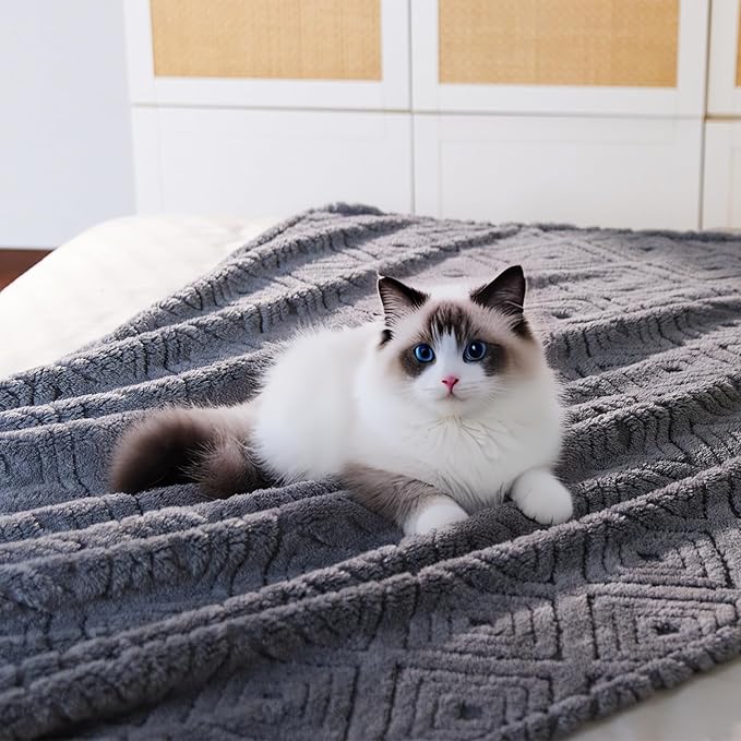 BYKOSY Geometric 50x70 Inch Flannel Jacquard Throw Blanket- Soft & Cozy Luxurious Blankets for Couch, Bed, Sofa, Travel，Home and Dorm Decor，Housewarming Gift for Women & Men,Dark Grey