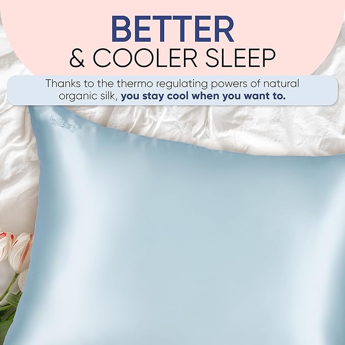 Blissy Silk Pillowcase - 100% Pure Mulberry Silk - 22 Momme 6A High-Grade Fibers - Silk Pillow Cover for Hair & Skin - Regular, Queen & King (Sky Blue, Queen)