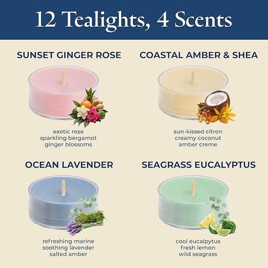 PartyLite Tea Lights Sampler, Ginger and Coconut with Lavender Scented Candles, Gift Set of 12, Aromatherapy with up to 4 to 6 Hours Burn Time, Ideal for Home Decor, Holiday Gifting and Celebration