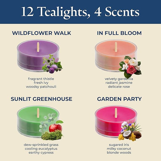 PartyLite Tea Lights Sampler, Wildflower and Grass with Coconut Scented Candles, Gift Set of 12, Aromatherapy with up to 4 to 6 Hours Burn Time, Ideal for Home Decor, Holiday Gifting and Celebration