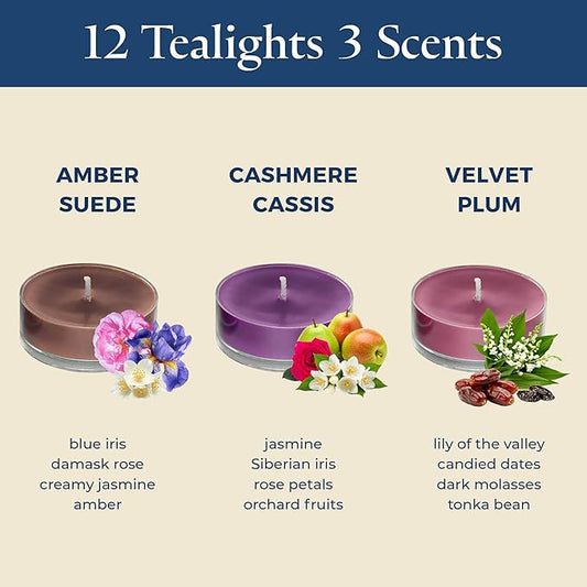 PartyLite After Dark™ Tea Lights Sampler, Velvet Plum & Amber Suede with Cashmere Cassis Scented Candles, Gift Set of 12, Aromatherapy with up to 4 to 6 Hours Burn Time, Ideal for Home Decor
