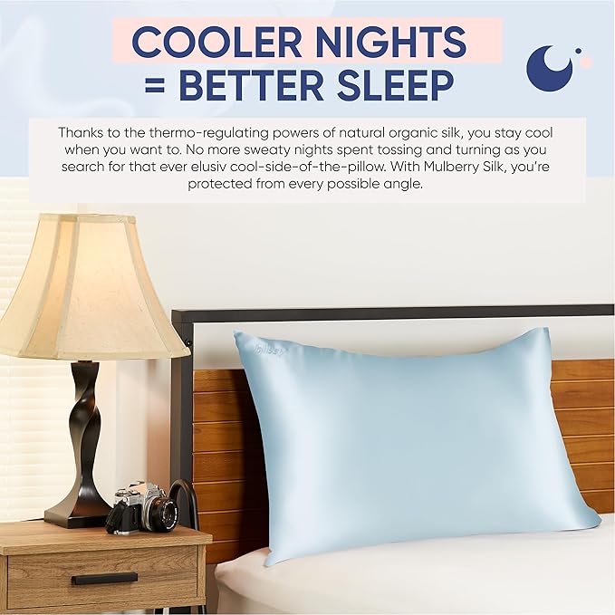 Blissy Silk Pillowcase - 100% Pure Mulberry Silk - 22 Momme 6A High-Grade Fibers - Silk Pillow Cover for Hair & Skin - Regular, Queen & King (Sky Blue, Standard)