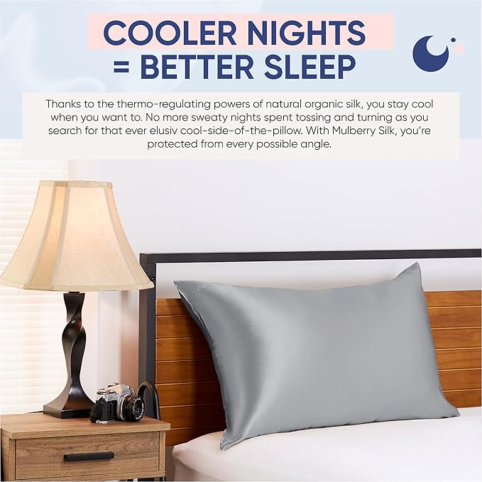 Blissy Silk Pillowcase - 100% Pure Mulberry Silk - 22 Momme 6A High-Grade Fibers - Silk Pillow Cover for Hair & Skin - Regular, Queen & King (Silver, Standard)