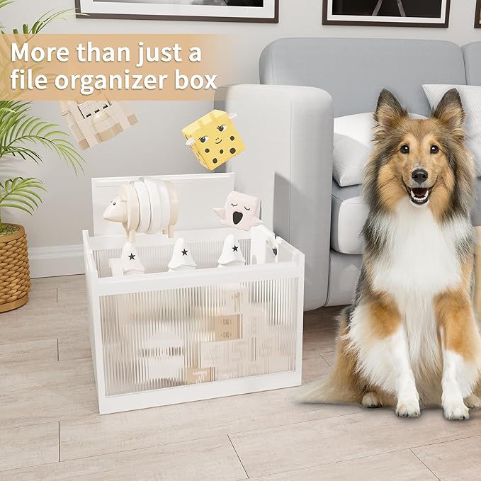 LONTAI White Bamboo Acrylic File Box with Hanging Folders, Letter/Legal Size, Dustproof, Home Office File Organizer