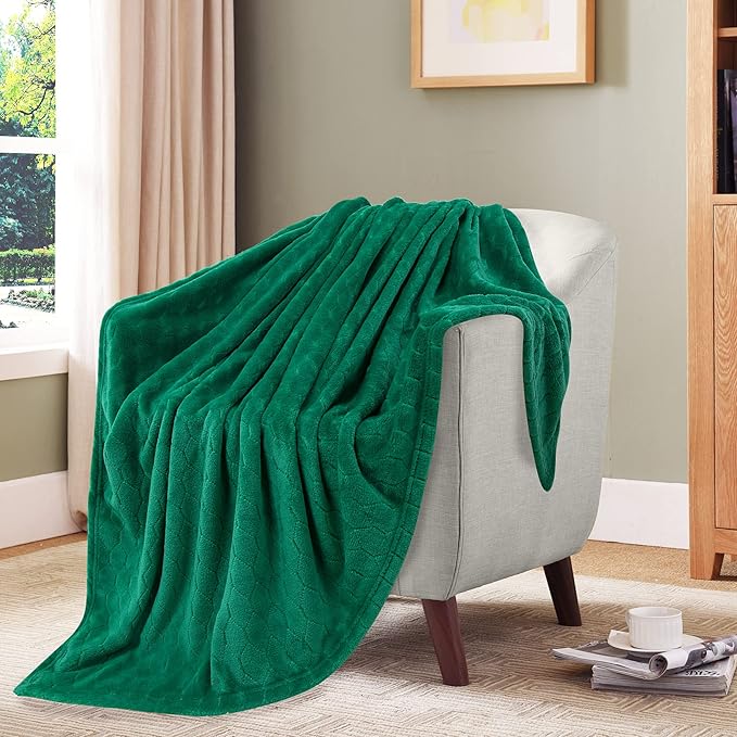 TOONOW Fleece Blanket Textured Fuzzy Plush Throw Blanket Twin Size 60" x 80", Super Soft Fluffy Bed Blanket Geometric Pattern Comfy Microfiber Flannel Blankets for Couch, Bed, Sofa, Emerald
