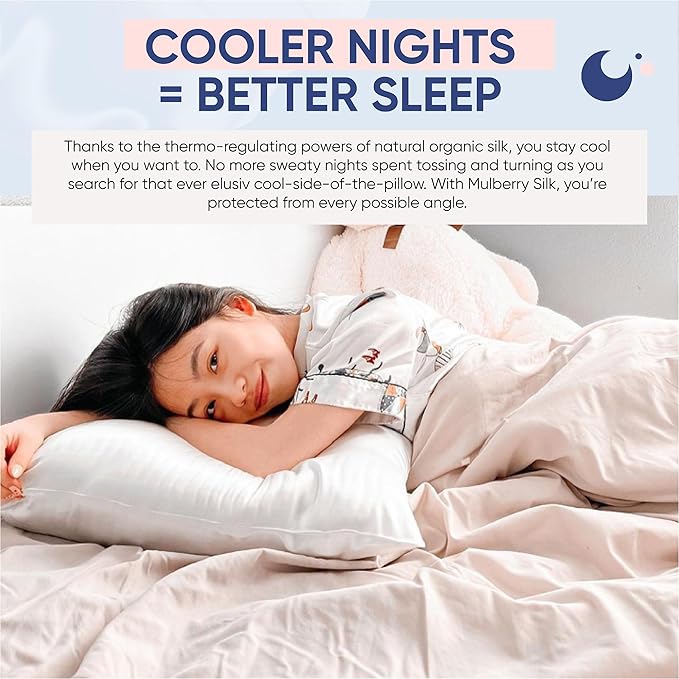 Blissy Silk Pillowcase - 100% Pure Mulberry Silk - 22 Momme 6A High-Grade Fibers - Silk Pillow Cover for Hair & Skin - Regular, Queen & King (Blissy White, Standard)