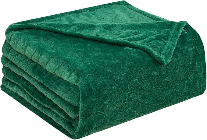 TOONOW Fleece Blanket Textured Fuzzy Plush Throw Blanket Twin Size 60" x 80", Super Soft Fluffy Bed Blanket Geometric Pattern Comfy Microfiber Flannel Blankets for Couch, Bed, Sofa, Emerald