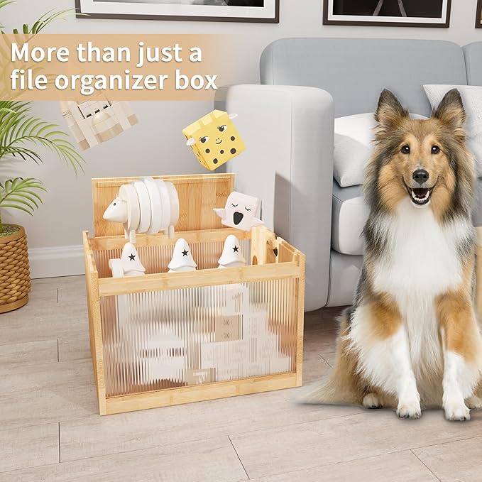 LONTAI Natural Bamboo & Acrylic File Box with Removable Lid, Modern File Organizer Box for Letter/Legal Files, Hanging File Box with Easy Assembly & Dustproof Storage for Home Office