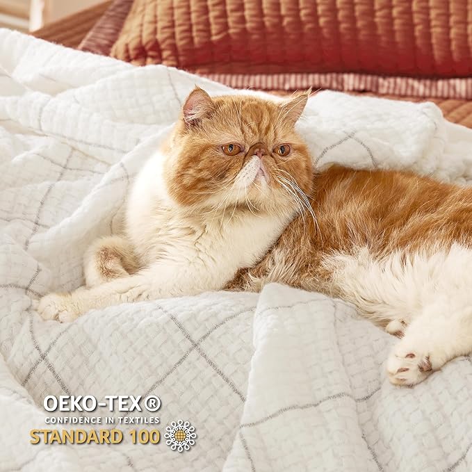 Bedsure Cream Throw Blanket for Bed - White Decorative Woven Throw Gifts with Tassels, Soft and Lightweight Farmhouse Blankets for Couch and Sofa, 50x60 Inches